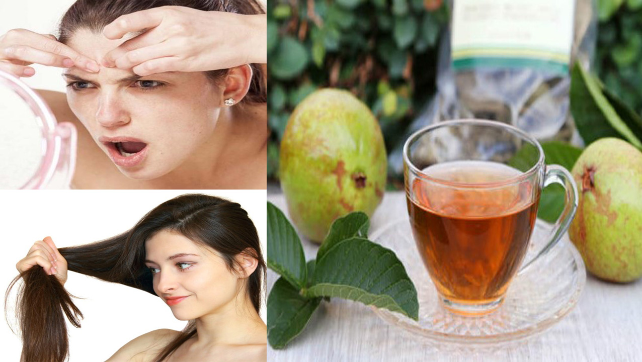 Hoja De Guayaba Para Que Sirve Como Planta Medicinal Plantă Blog